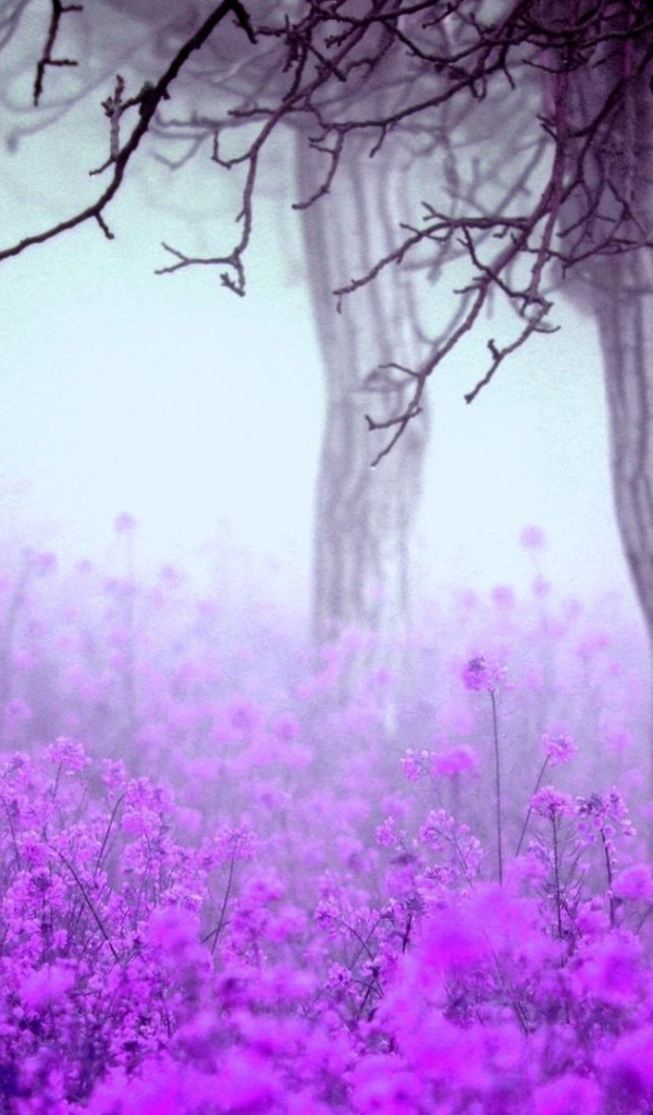 Лесные цветы