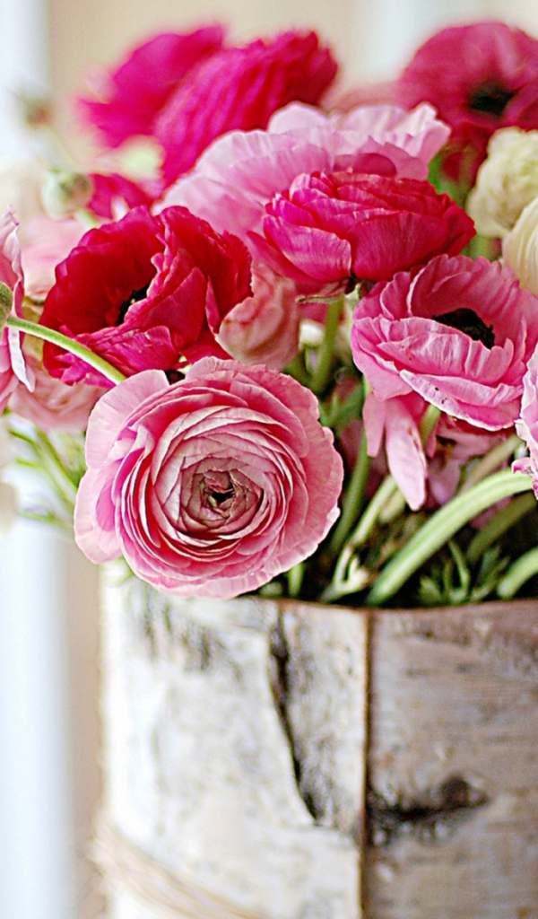 Живые цветы пионы