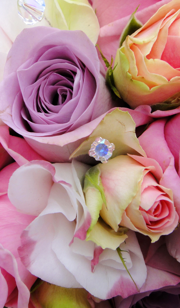 Садовые цветы эустома (ирландская роза) на дачном участке