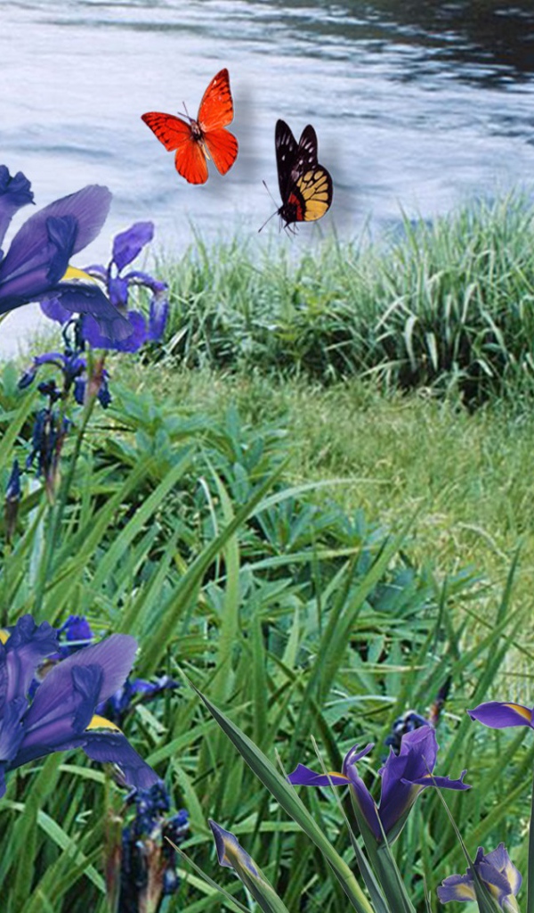 Заяц среди ирисов