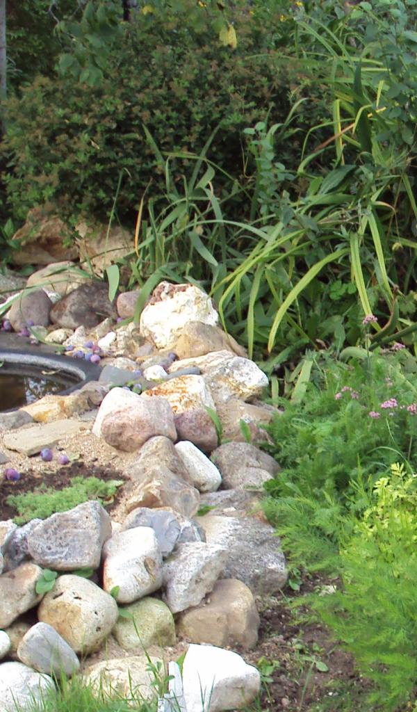 На поляне красивая альпийская горка