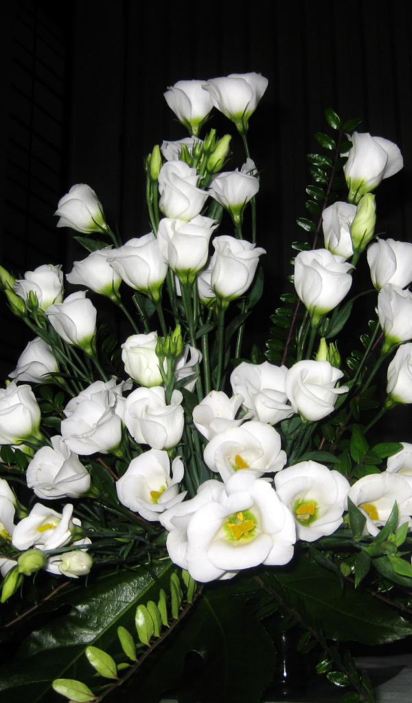 На поляне красивые цветы эустома (ирландская роза) 