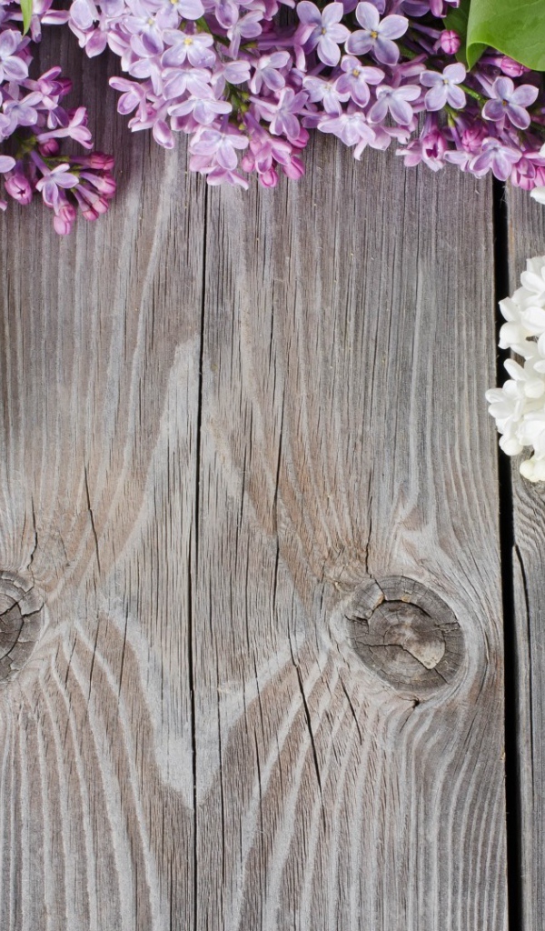 Сирень на досках
