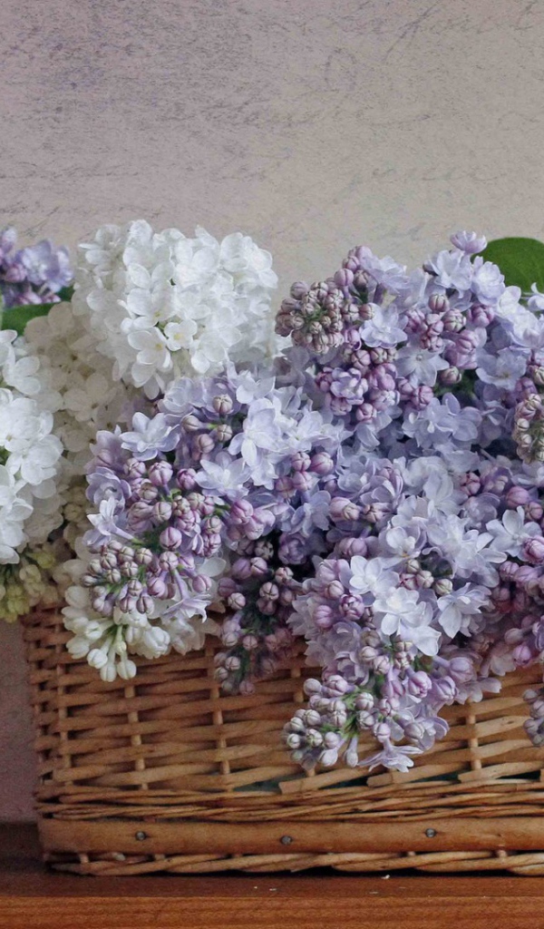 Сирень в корзине