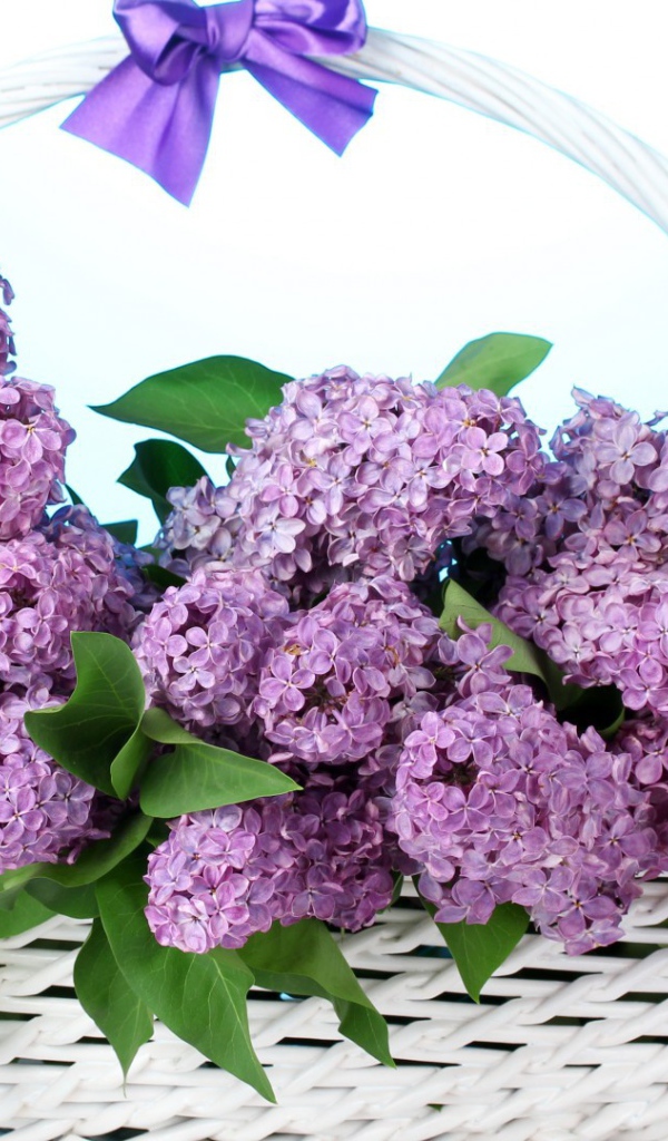 Сирень в корзине