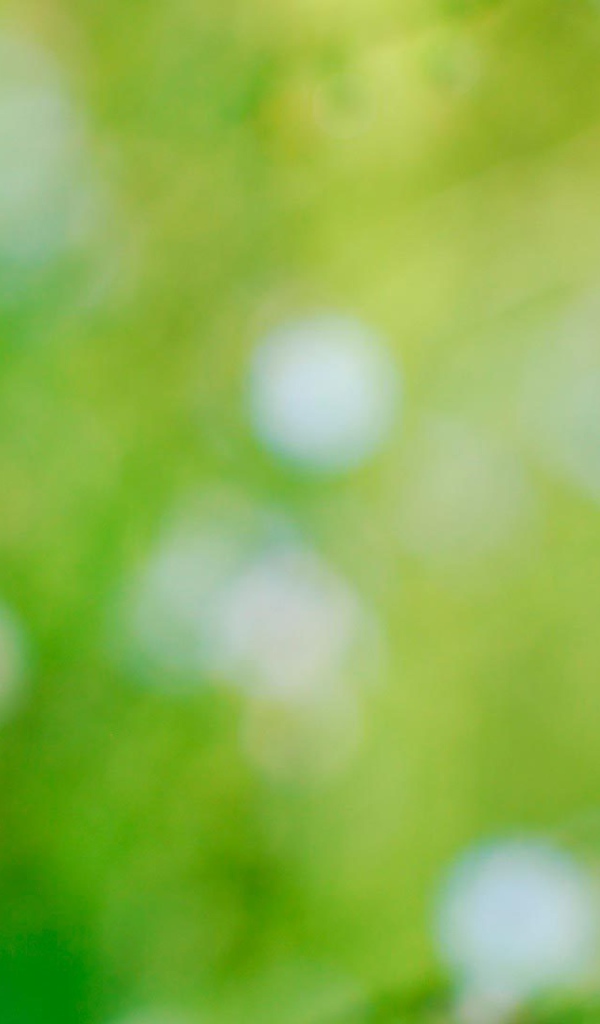 На лужайке красивые цветы незабудки