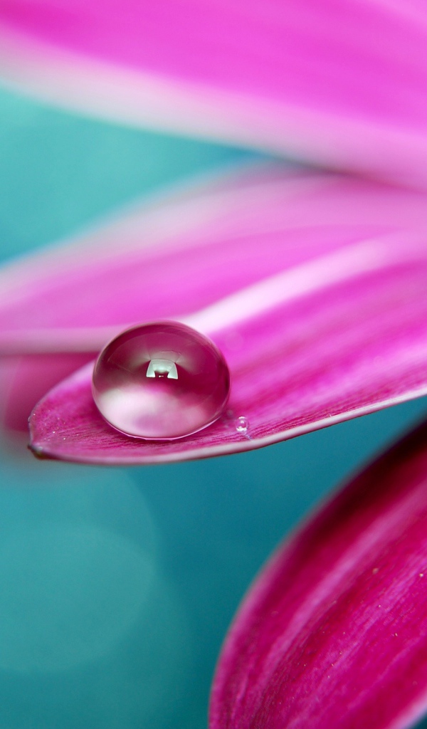 Идеальная роса