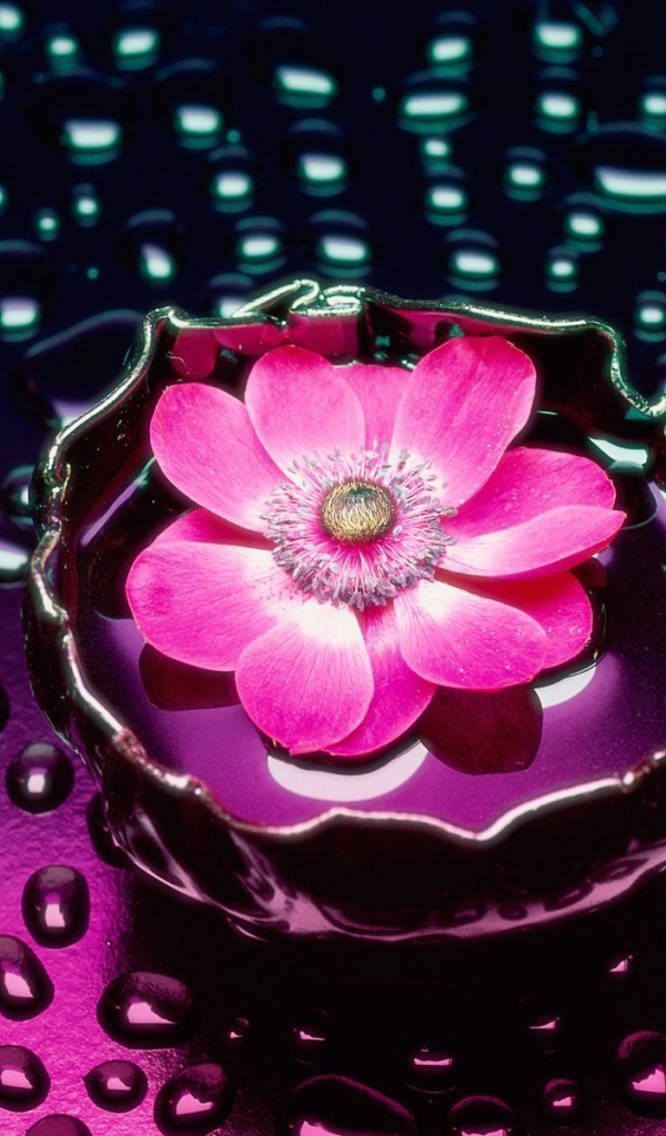 Лепестки и вода