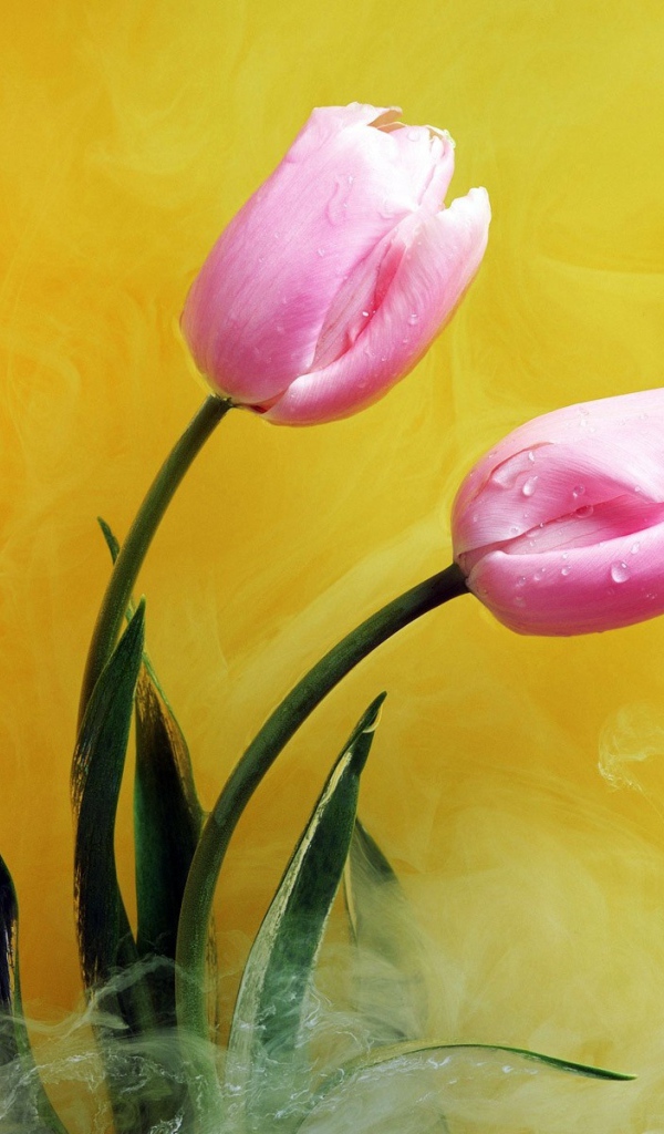 Розовые цветы в желтом дыму