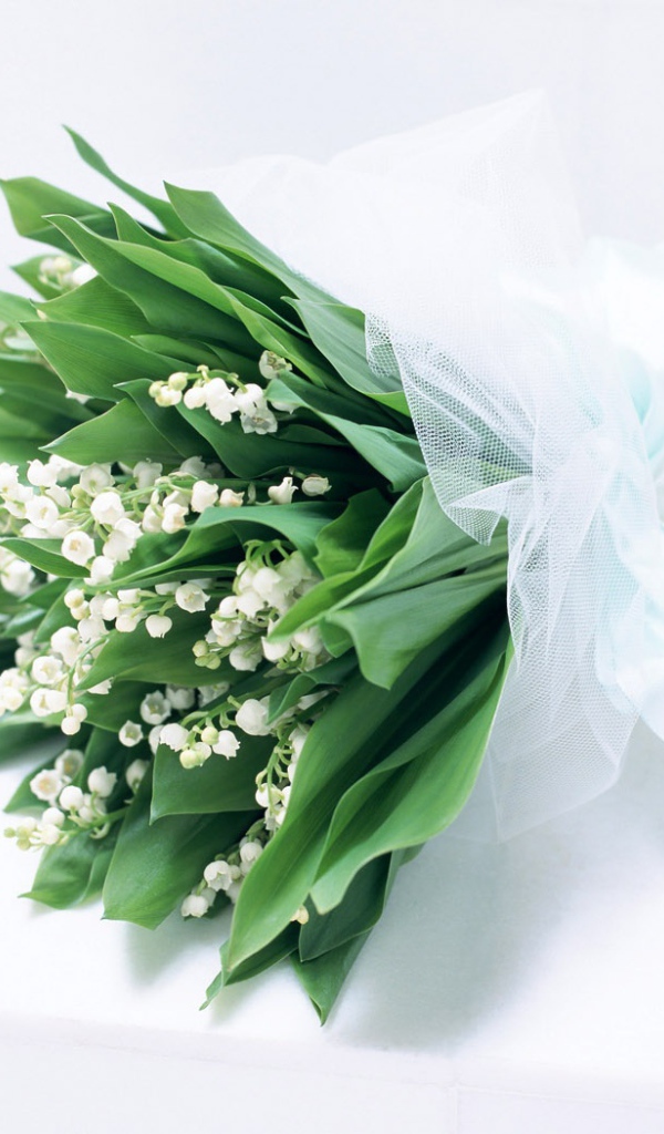 Чистые духи