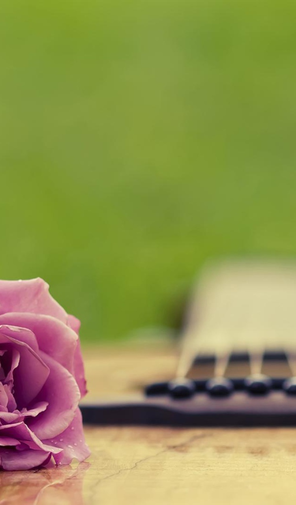 Фиолетовая роза на гитаре