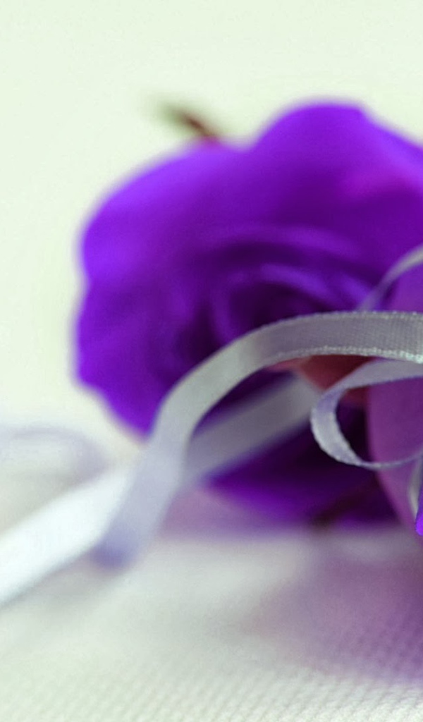Фиолетовые розы с серебристой ленточкой