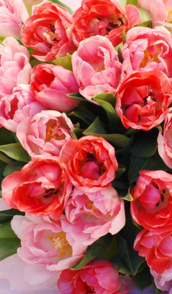 Красный букет