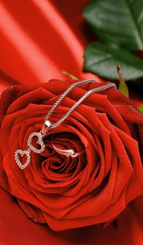 Красная роза и кулон