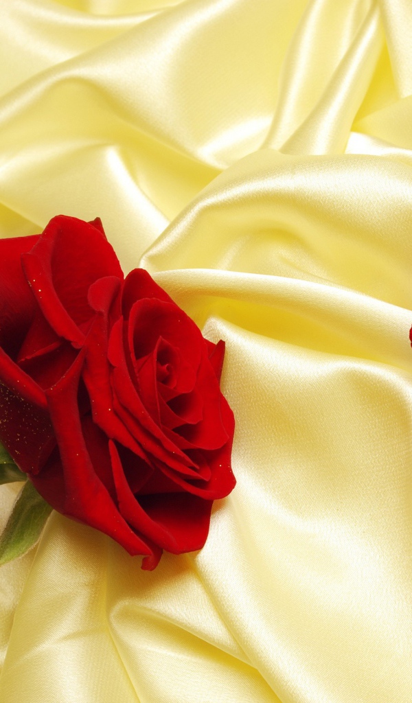 Красная роза на желтой ткани