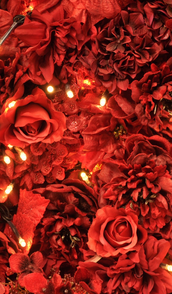 Огни среди красных роз