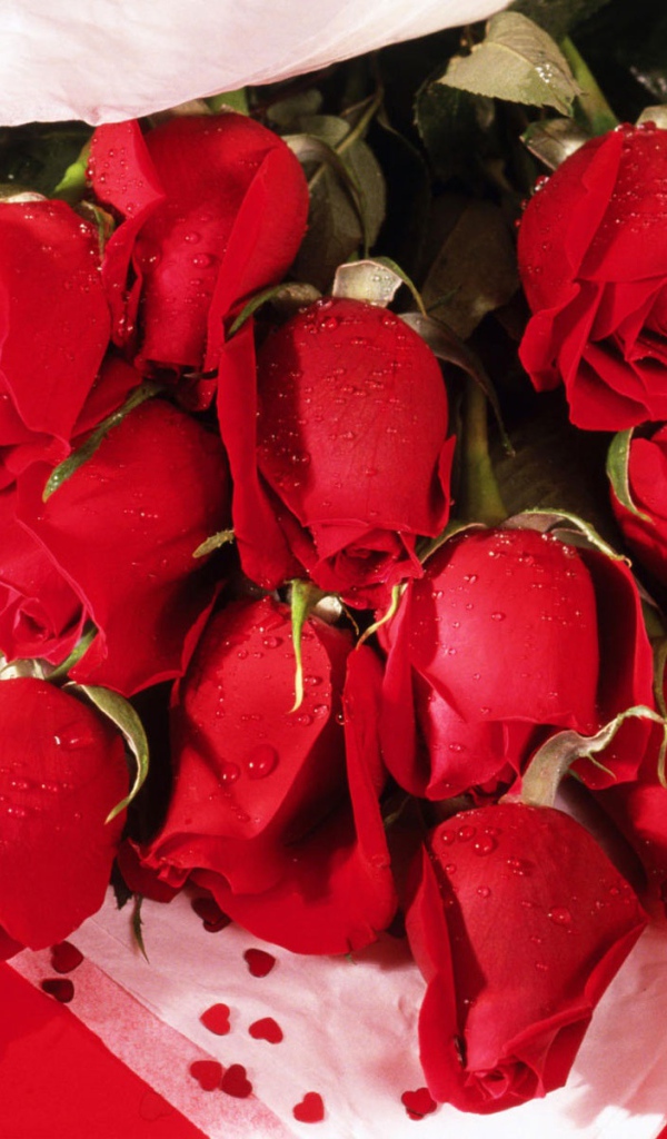 Романтические розы