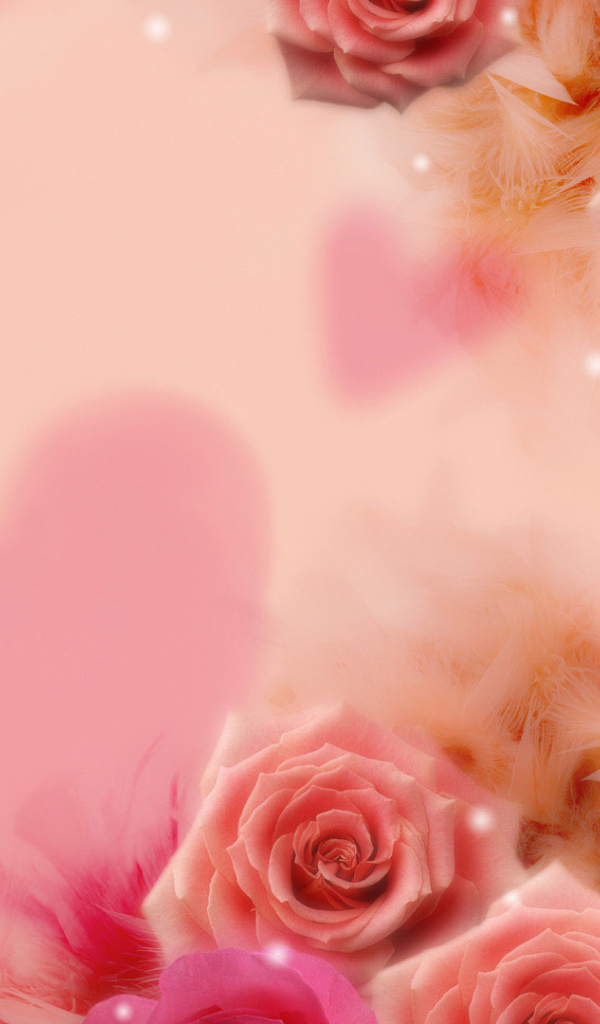 Розы и сердце