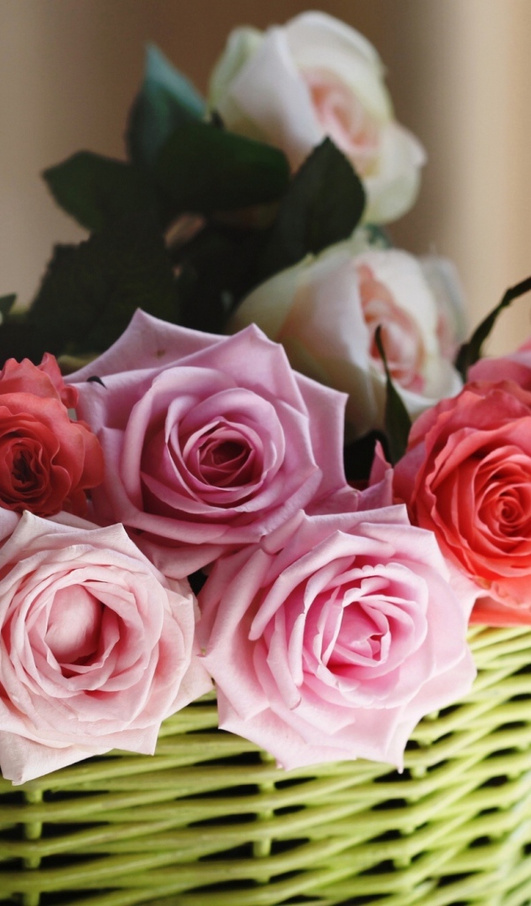 Розы в корзине