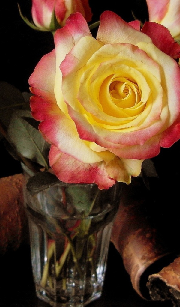 Розы в стакане