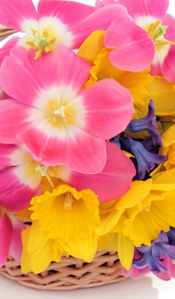 Маленькая корзина цветов