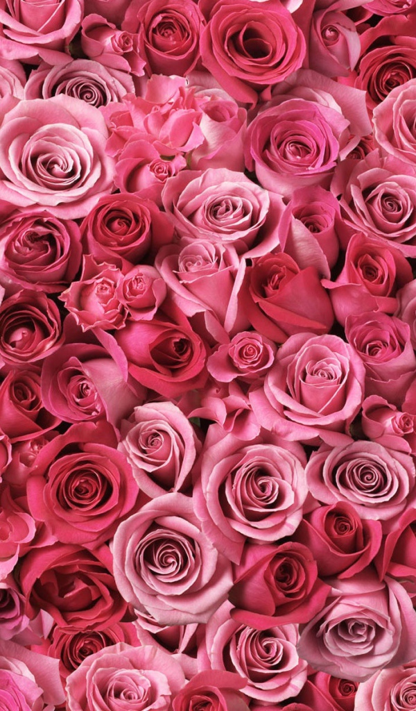 Спирали любви 