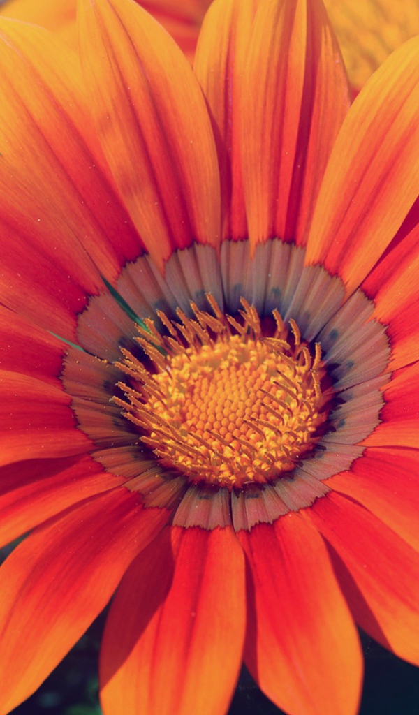 Весенняя любовь