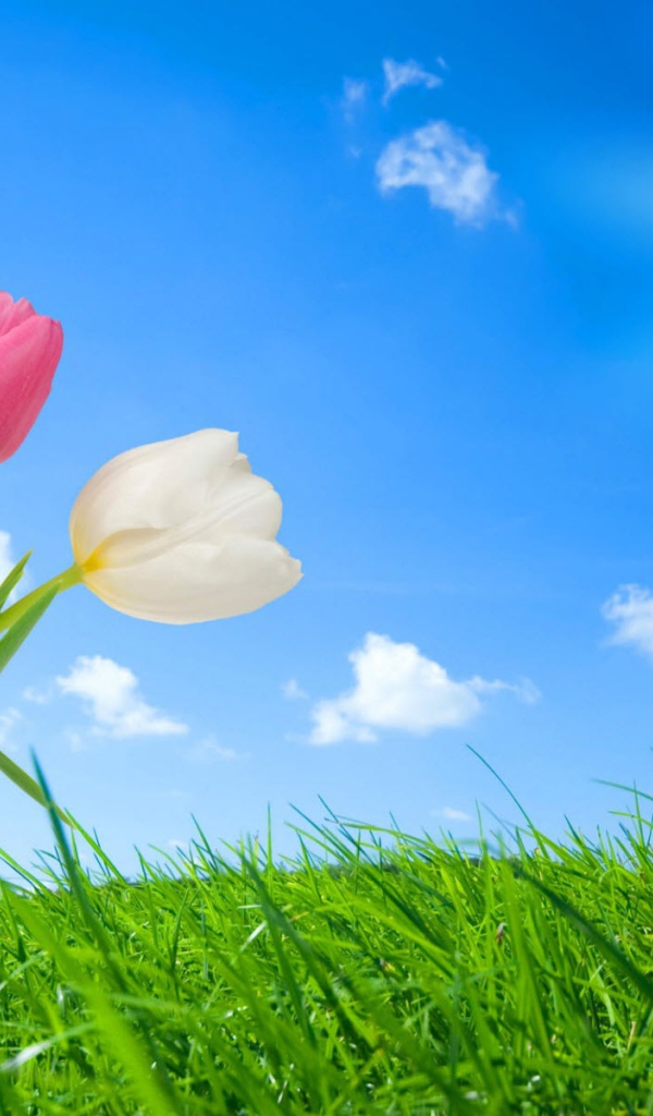 Весення природа