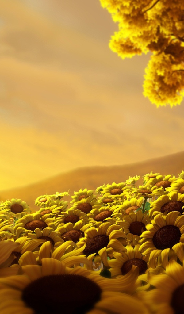 Мир подсолнухов 
