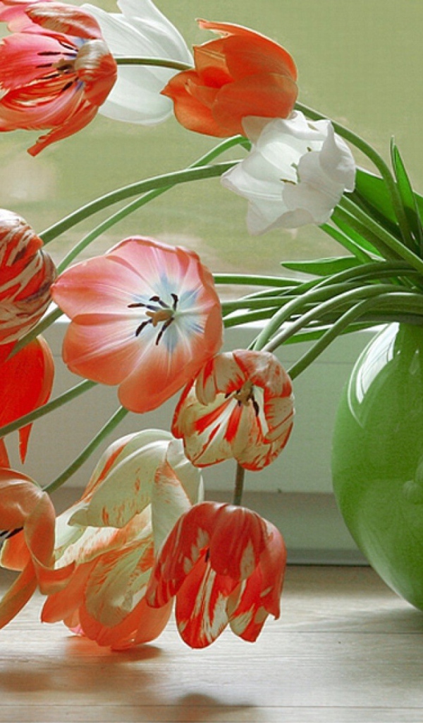 Тюльпаны у окна