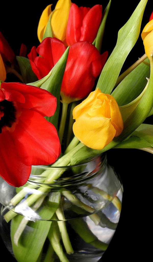 Тюльпаны в банке