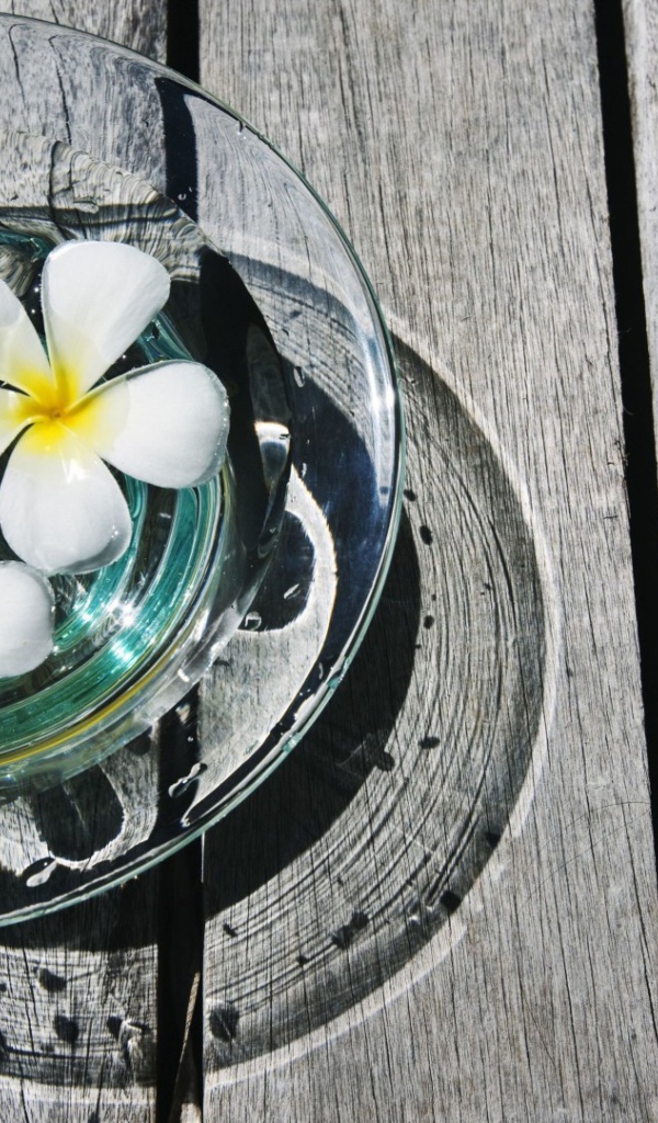 белая композиция