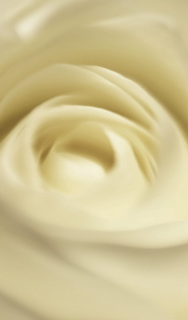 Белая роза, сердцевина крупным планом