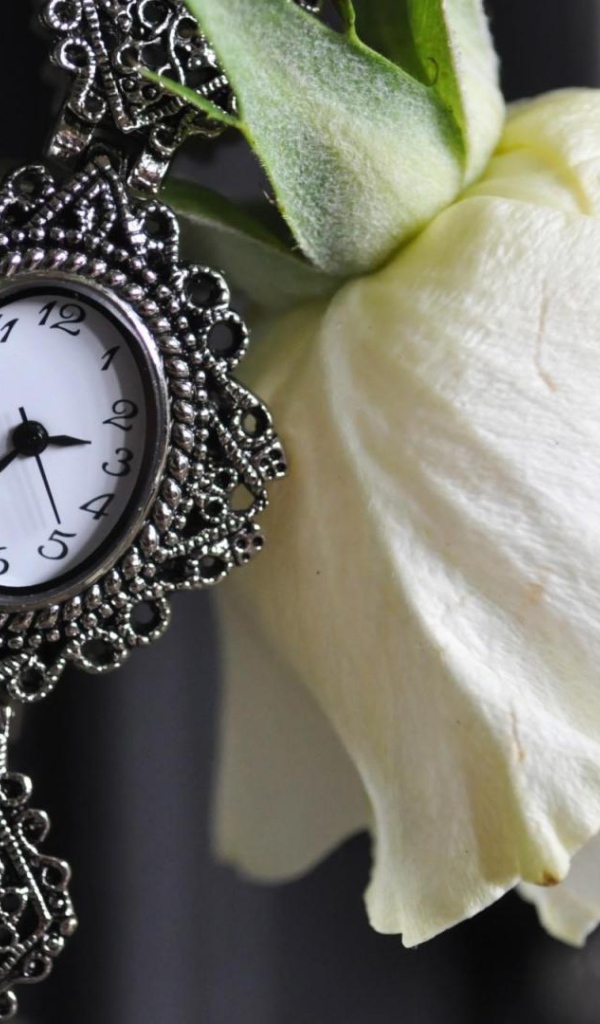 Белая роза и часы