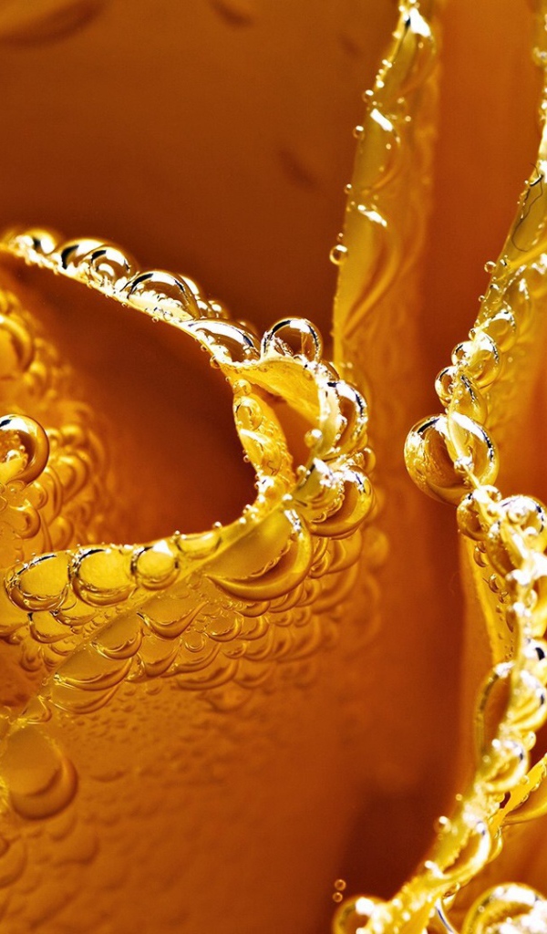 Жёлтая роза в пузырьках воздуха