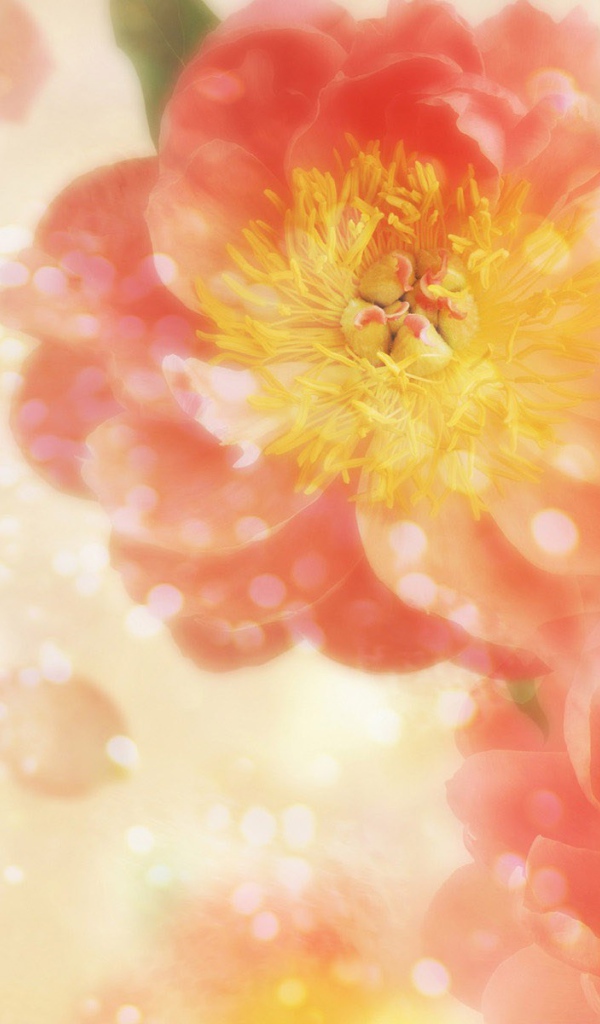 Летящие лепестки