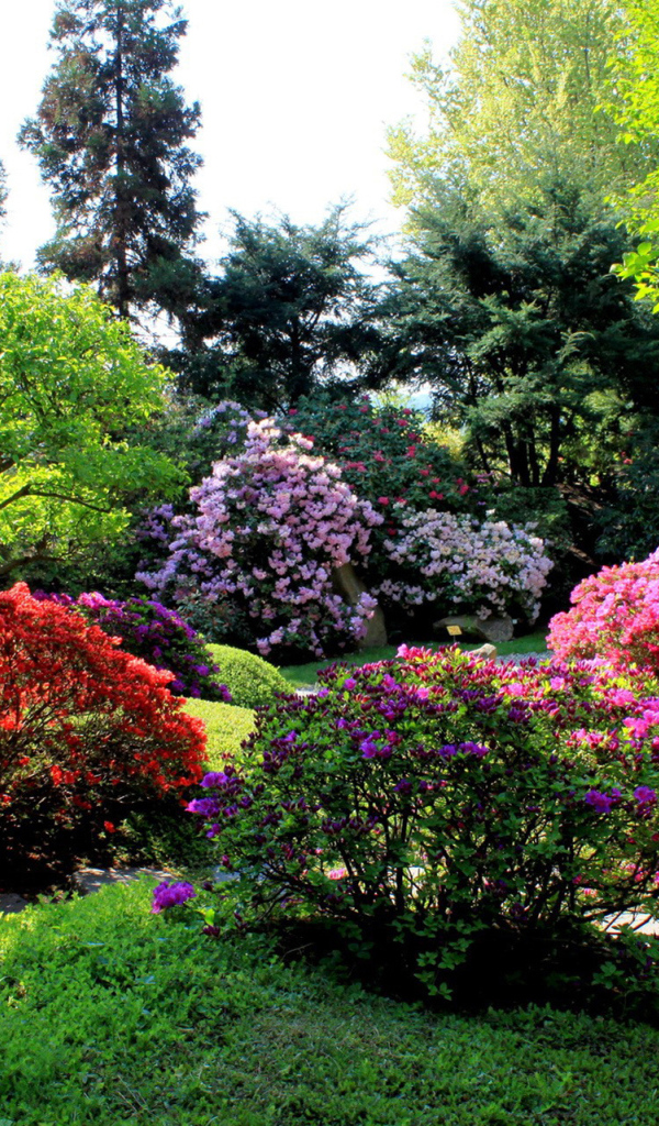 Аллея в парке