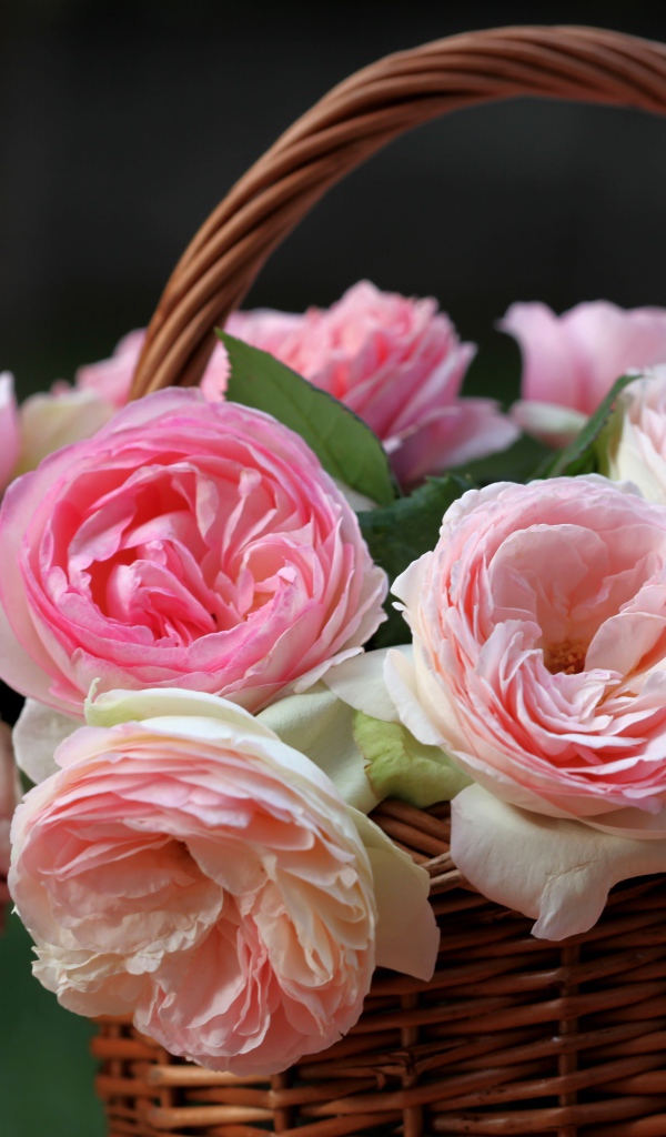 Корзина розовых цветков