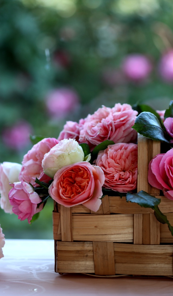 Корзина с розами