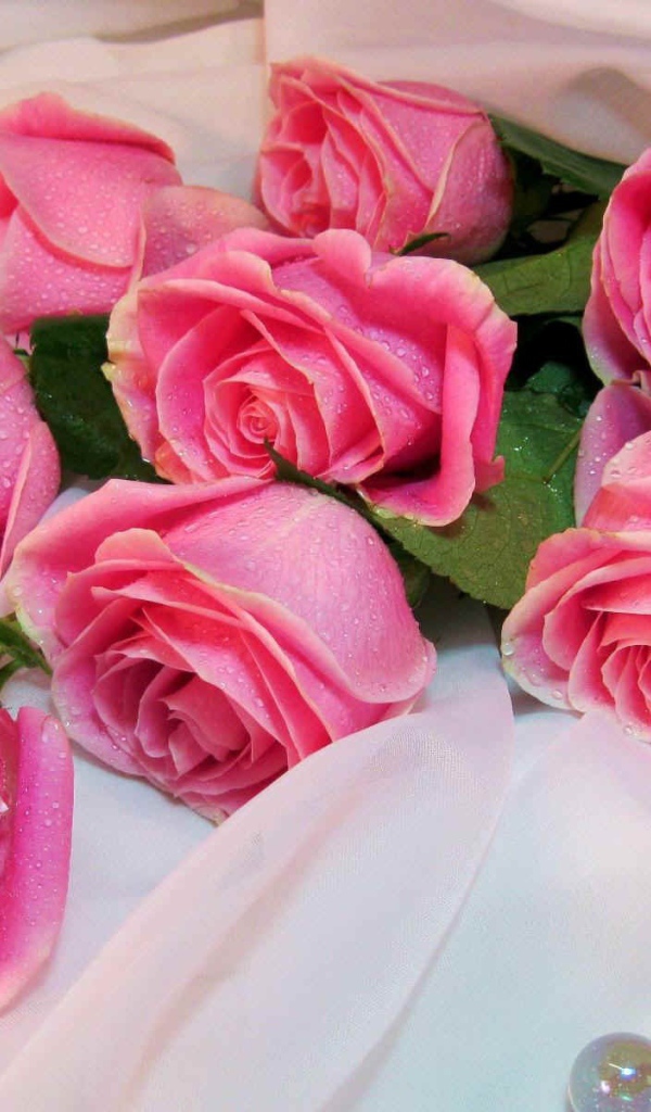 Букет роз на белом одеяле