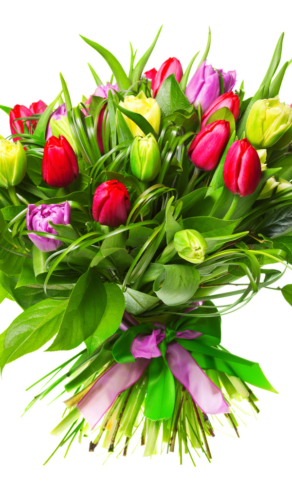 	   Bouquet of tulips on a white background