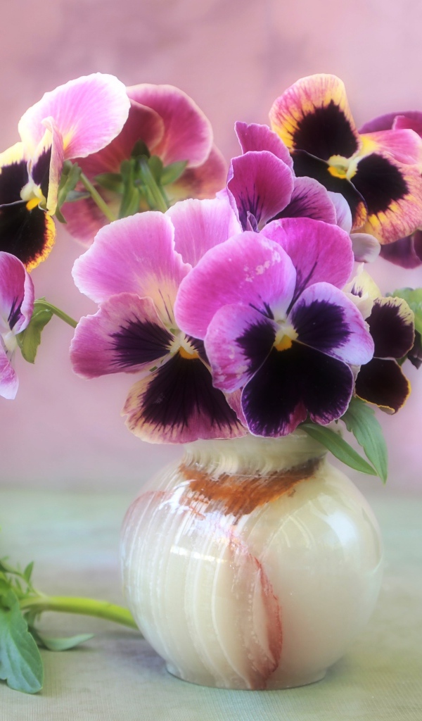 Букет фиалок