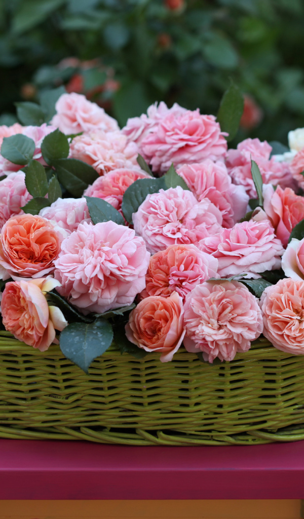 Цветы в зеленой корзине