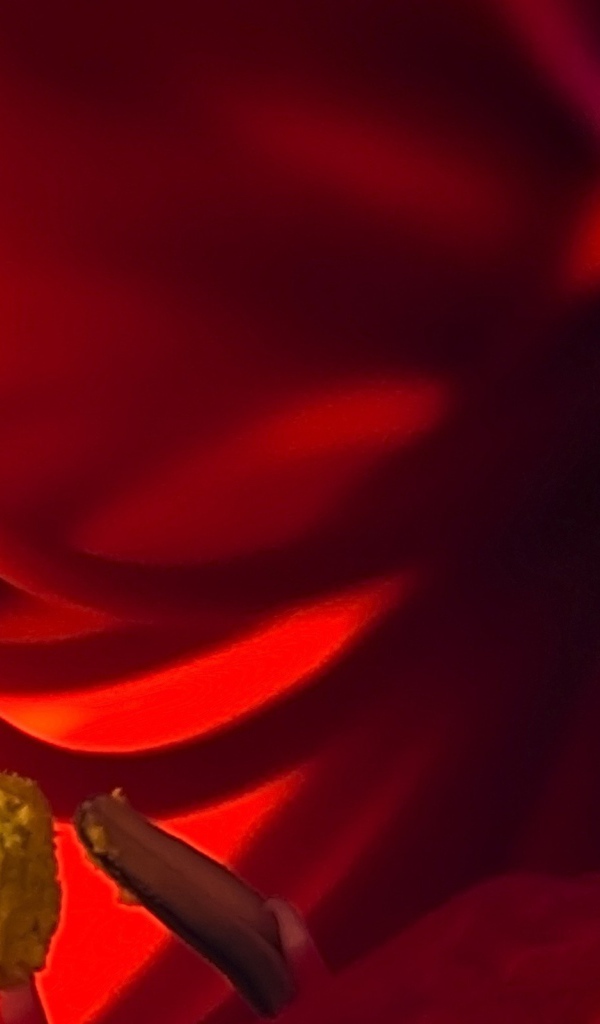 Пестики красного цветка