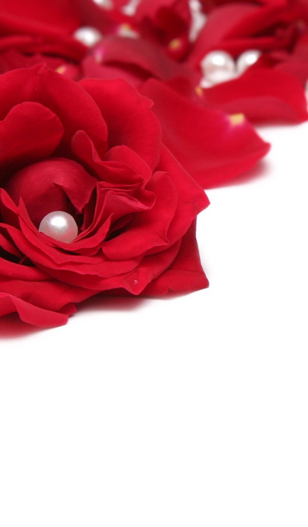 Розы и жемчуг