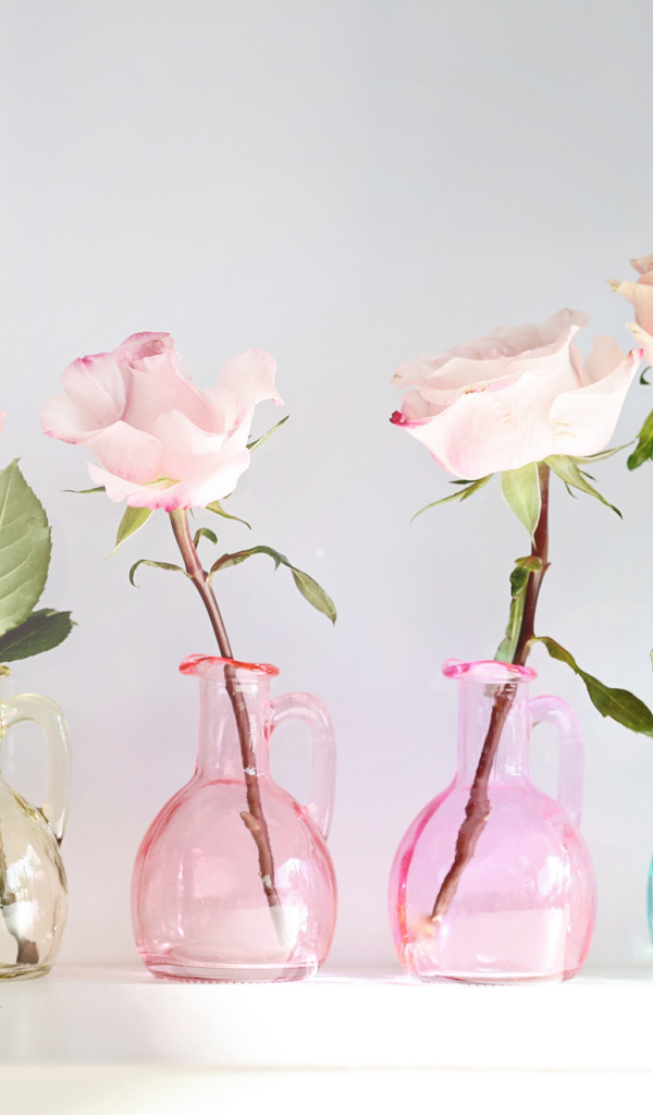 Розы в стеклянных кувшинах