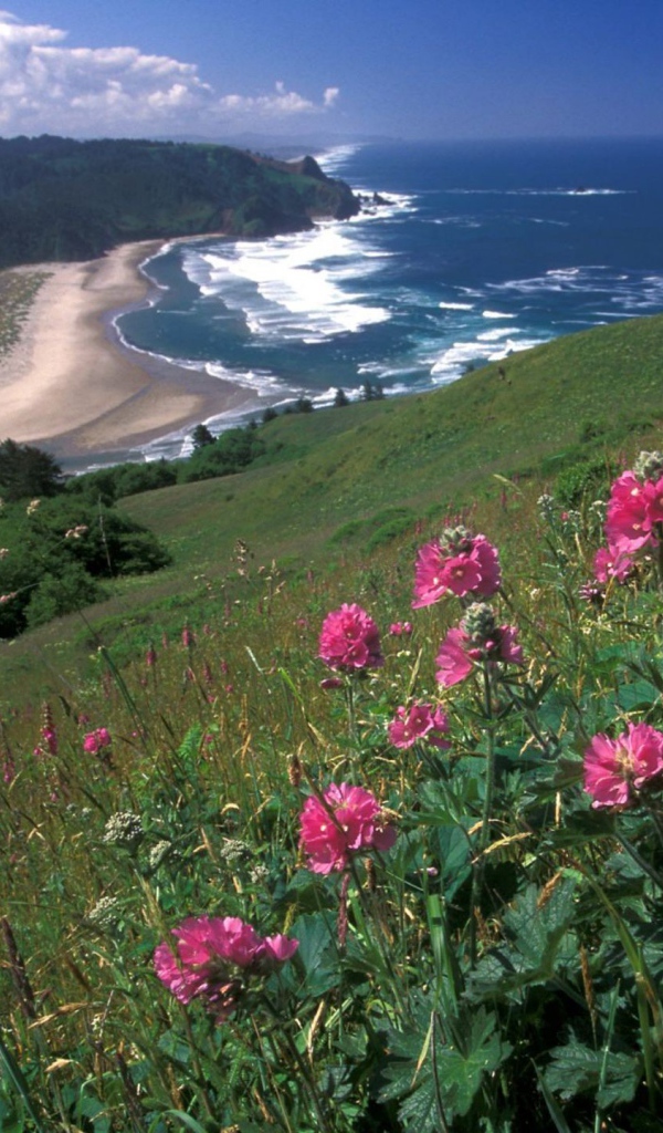 Вид на море с горы