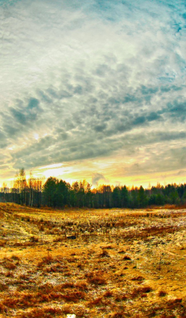 Просека в лесу