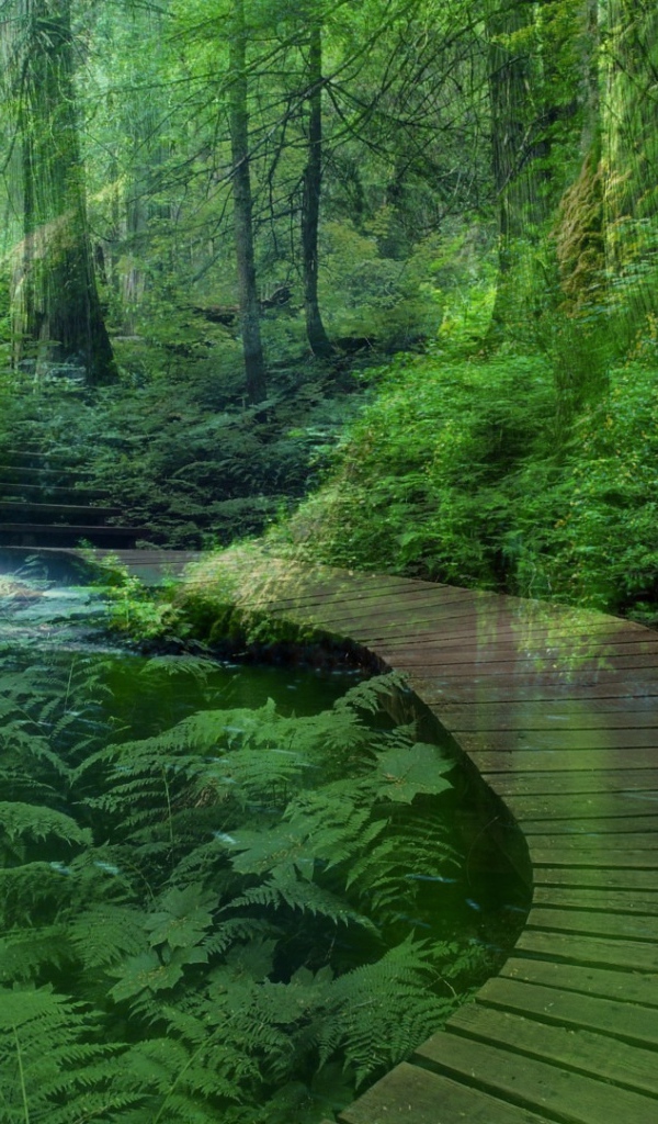 Лесной пейзаж с водопадом