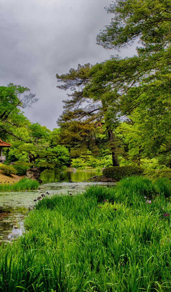 Домик в лесу